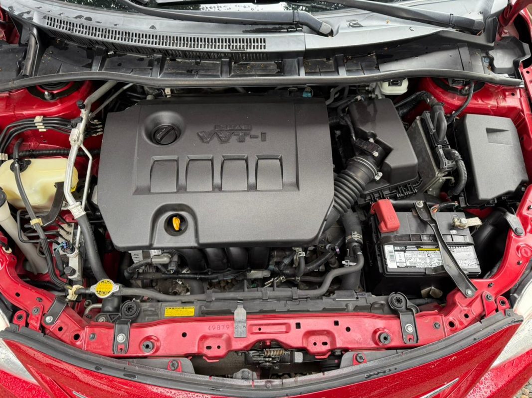 WhatsApp Image 2025-12-17 at 10.31.08 AM