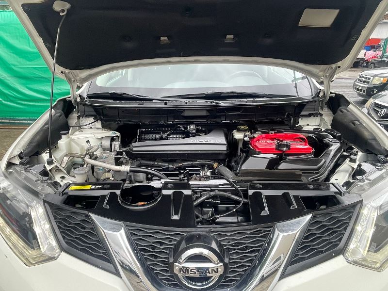 WhatsApp Image 2025-12-17 at 10.38.31 AM (4)