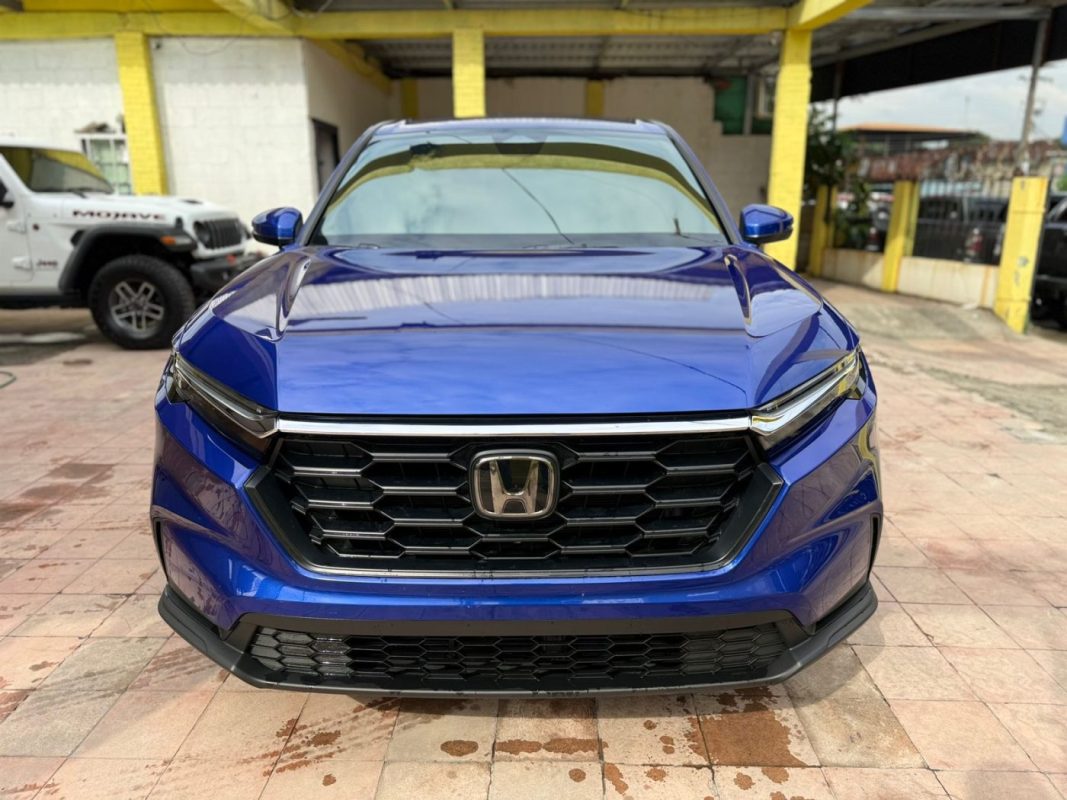 WhatsApp Image 2025-12-17 at 2.12.27 PM (1)