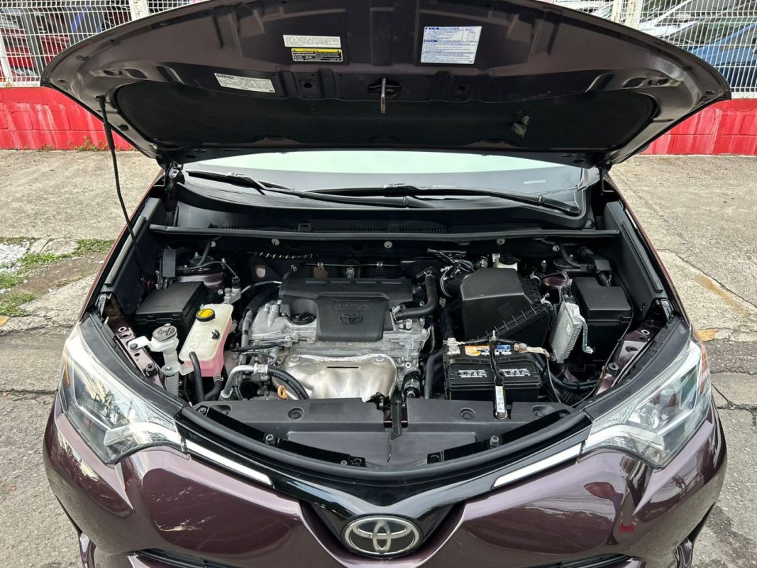 WhatsApp Image 2025-12-18 at 3.38.00 PM (1)