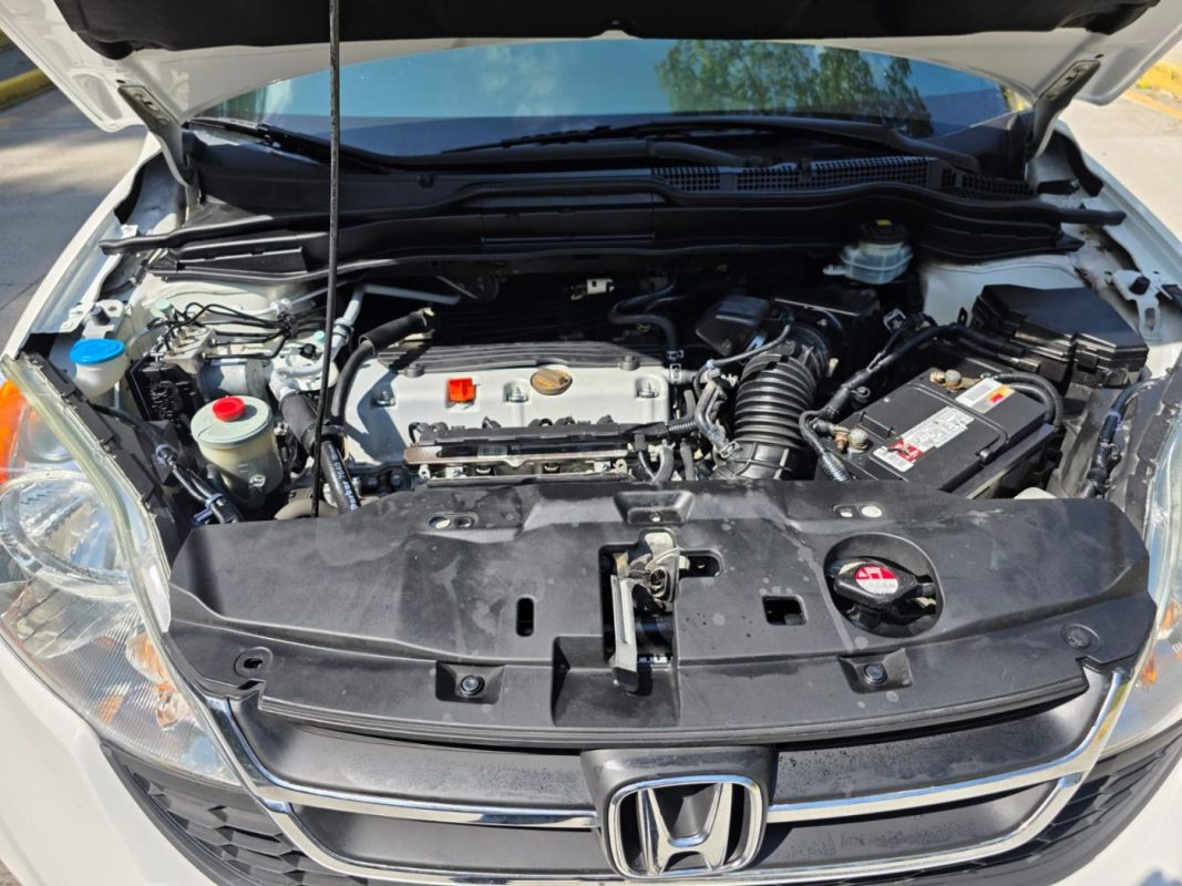 WhatsApp Image 2025-12-18 at 8.36.08 PM