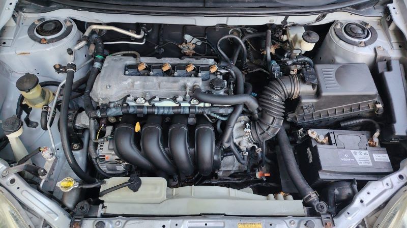 WhatsApp Image 2025-12-19 at 5.13.00 PM (2) - copia