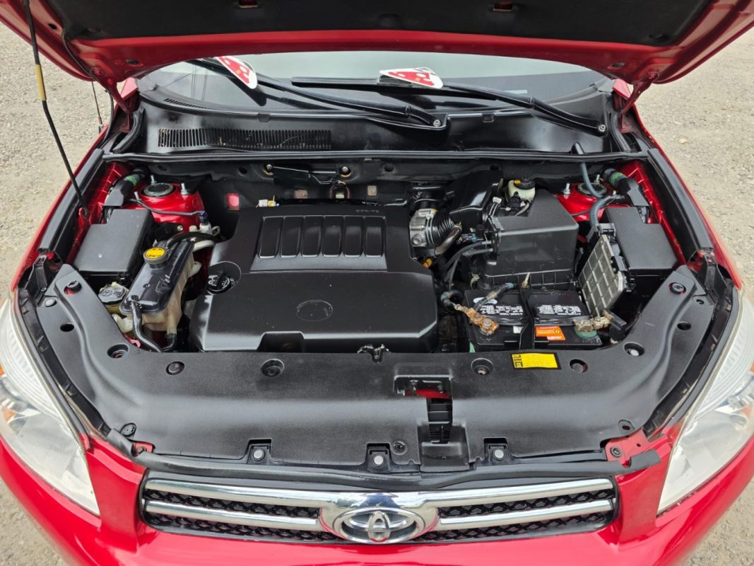 WhatsApp Image 2025-12-20 at 4.03.45 PM (1)