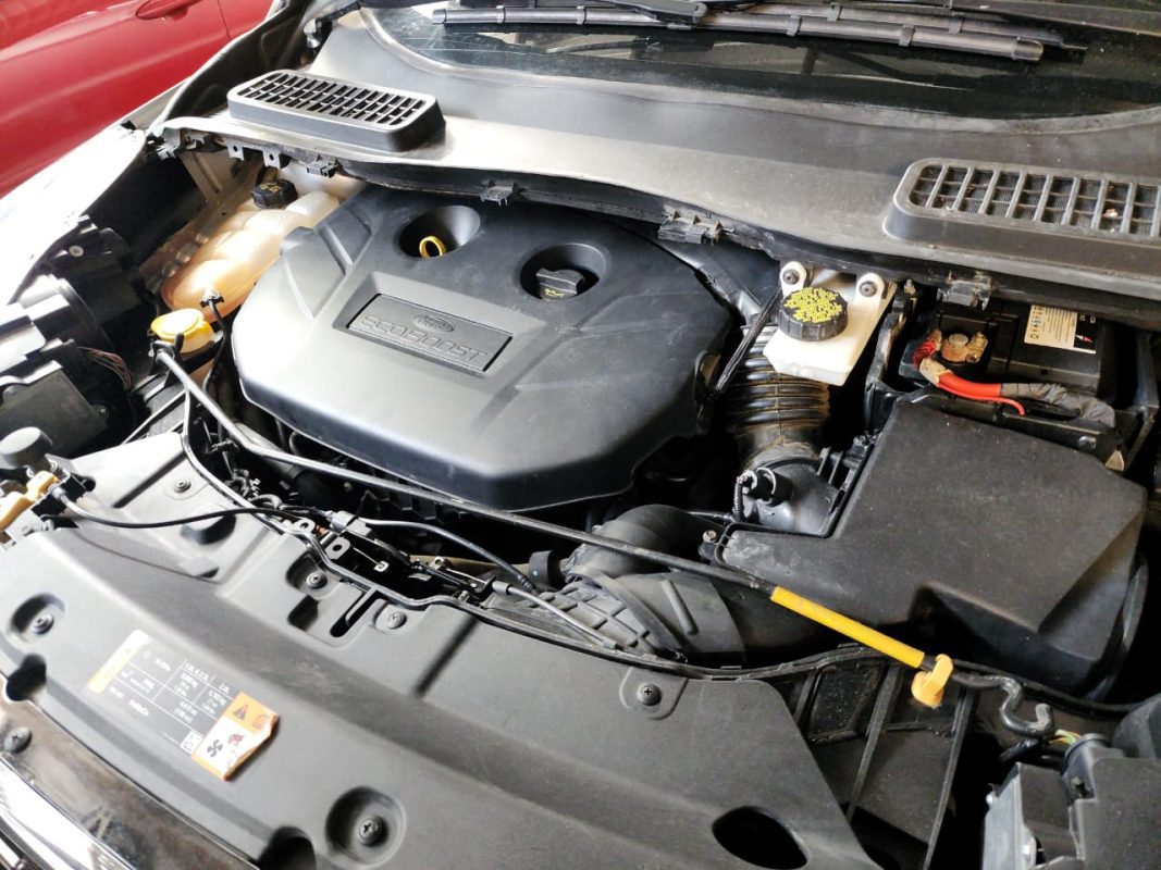 WhatsApp Image 2025-12-20 at 7.20.59 AM