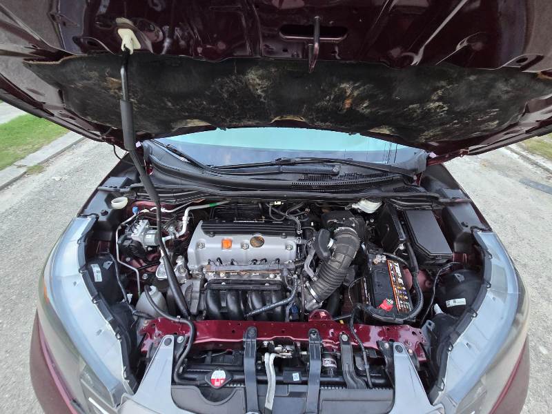 WhatsApp Image 2025-12-20 at 7.21.19 AM (5)