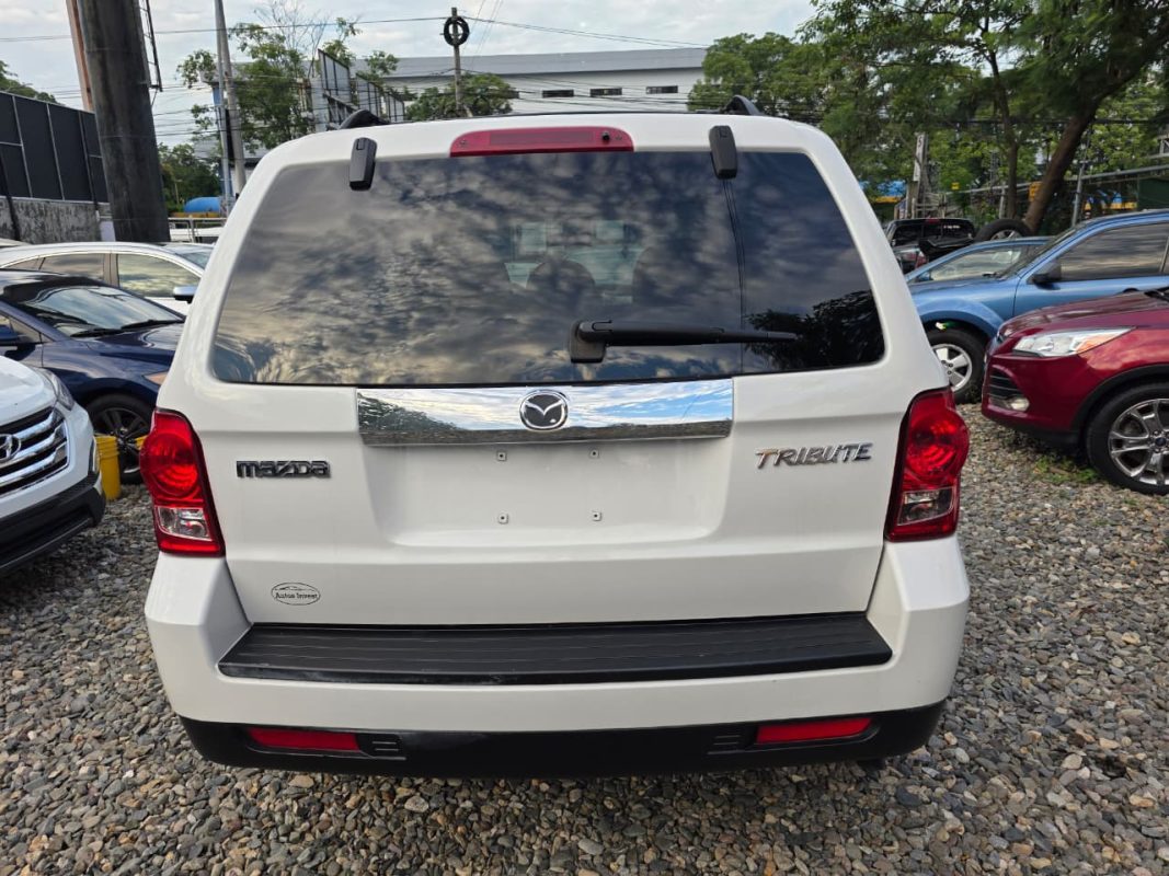 WhatsApp Image 2025-12-20 at 8.57.52 PM (2)