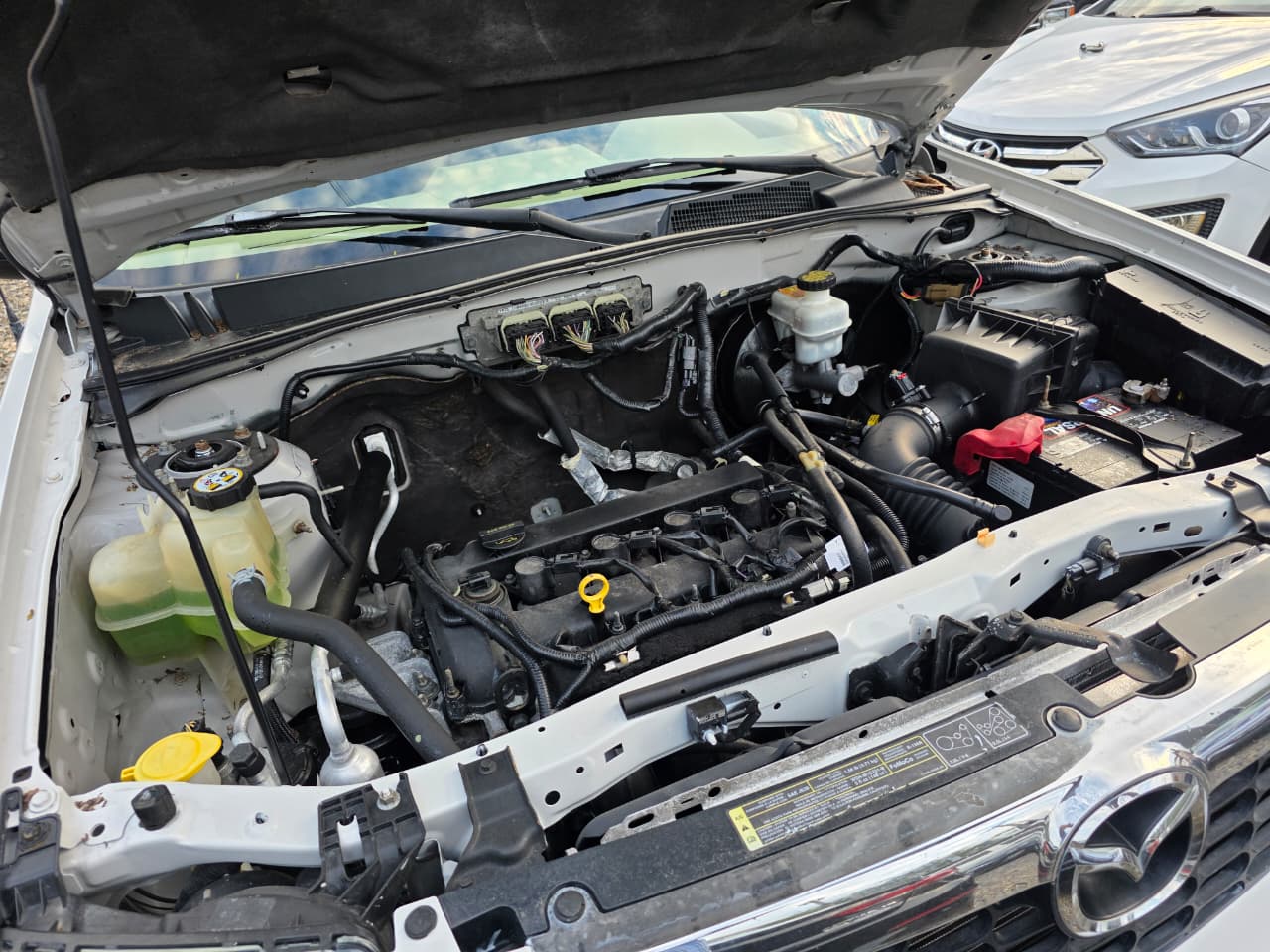 WhatsApp Image 2025-12-20 at 8.57.52 PM