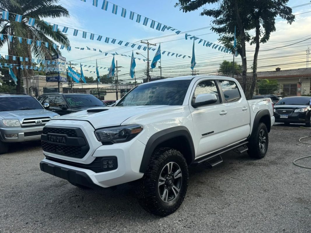 WhatsApp Image 2025-12-21 at 1.05.53 PM