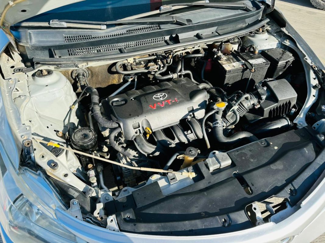 WhatsApp Image 2025-12-22 at 7.01.38 PM (4)