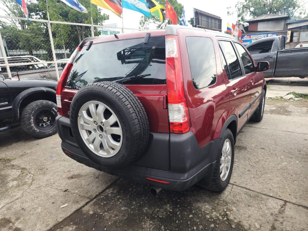 WhatsApp Image 2025-12-23 at 1.31.52 PM