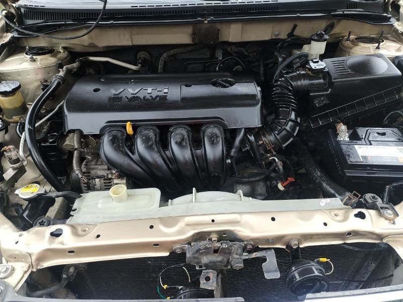 WhatsApp Image 2025-12-23 at 1.33.34 PM