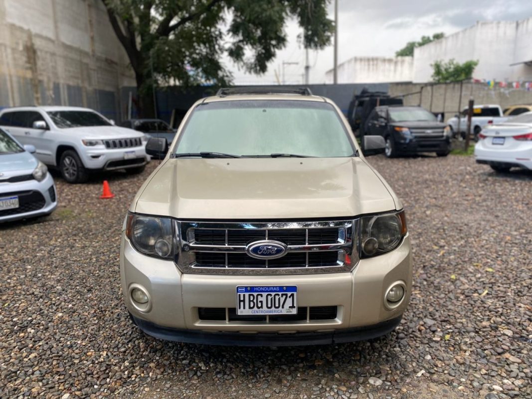 WhatsApp Image 2025-12-23 at 4.18.37 PM (2)