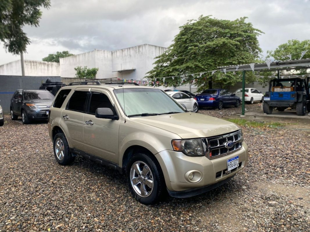 WhatsApp Image 2025-12-23 at 4.18.37 PM (3)