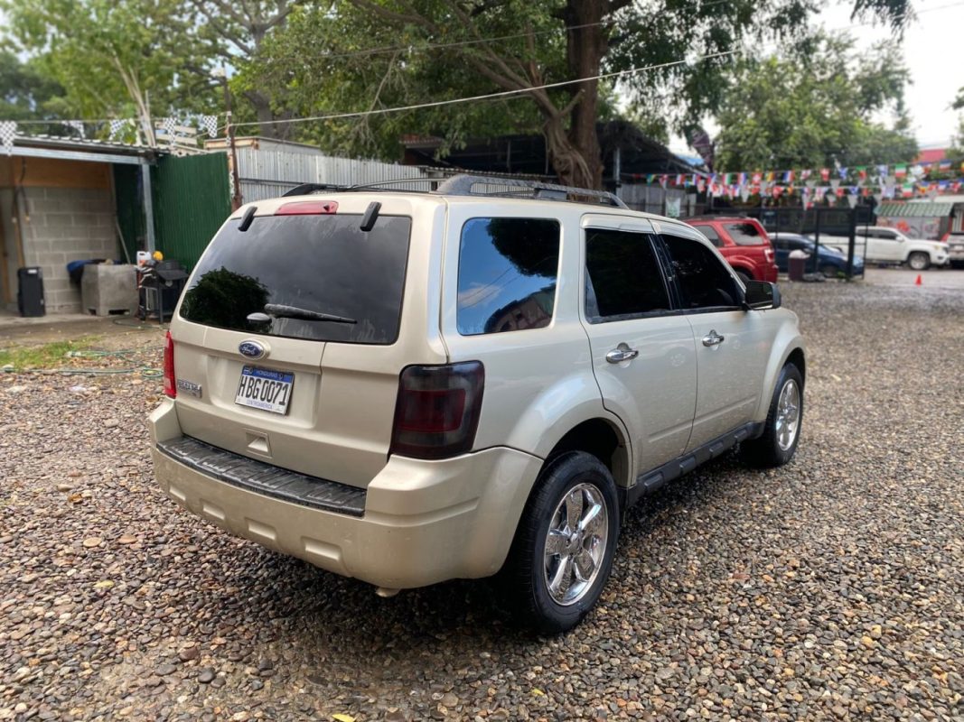 WhatsApp Image 2025-12-23 at 4.18.37 PM (4)