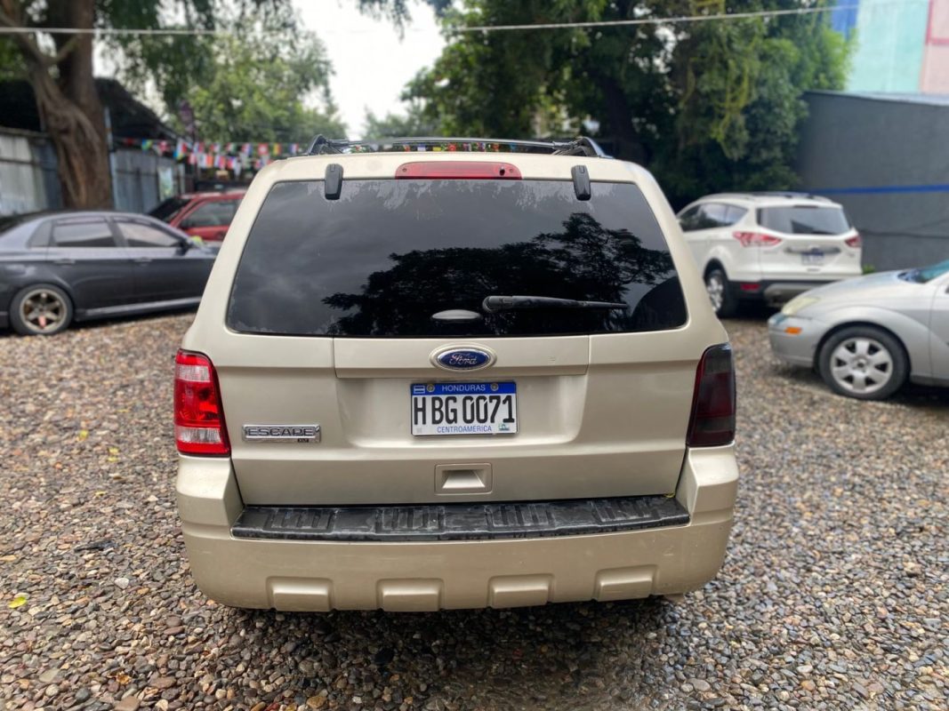 WhatsApp Image 2025-12-23 at 4.18.37 PM (5)