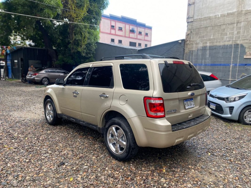 WhatsApp Image 2025-12-23 at 4.18.37 PM