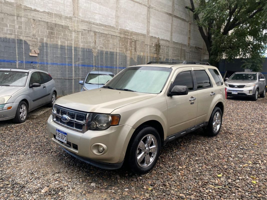 WhatsApp Image 2025-12-23 at 4.18.38 PM