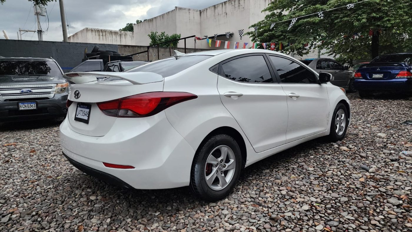 WhatsApp Image 2025-12-23 at 6.34.47 PM