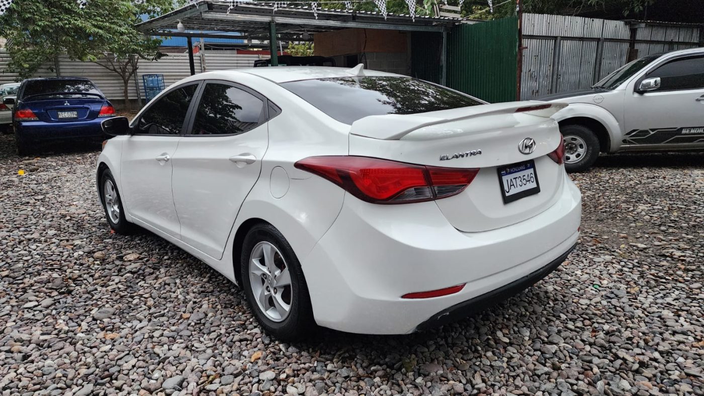 WhatsApp Image 2025-12-23 at 6.34.48 PM (2)