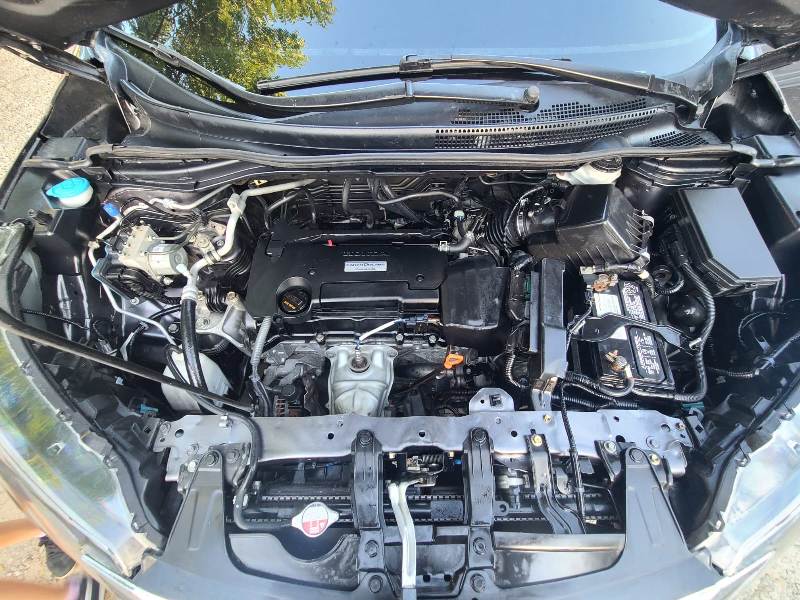 WhatsApp Image 2025-12-24 at 1.20.21 PM