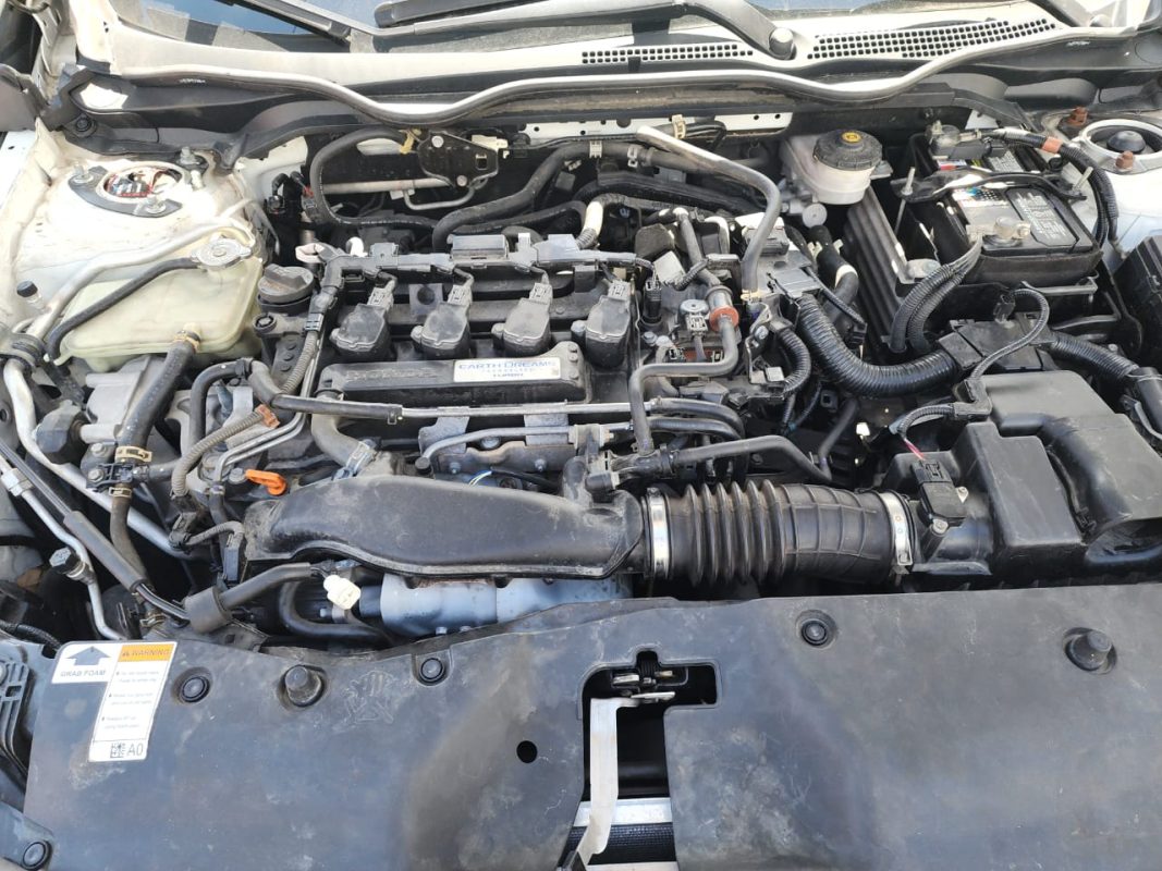 WhatsApp Image 2025-12-27 at 1.27.52 PM