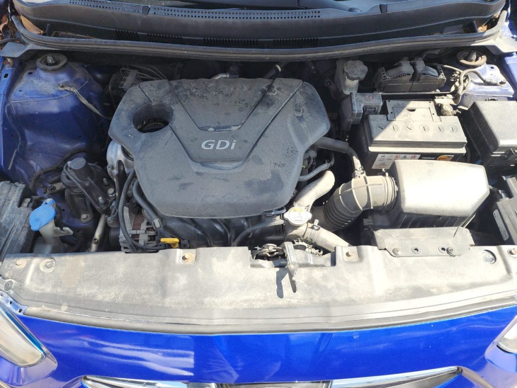 WhatsApp Image 2025-12-27 at 1.28.33 PM