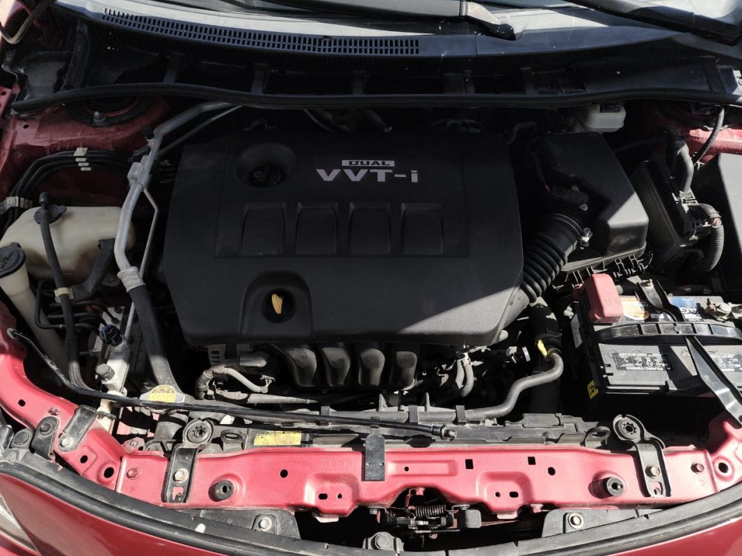 WhatsApp Image 2025-12-27 at 1.28.36 PM (1)