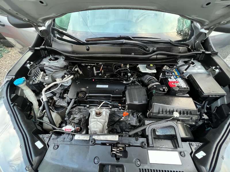 WhatsApp Image 2025-12-28 at 10.05.43 AM (1)