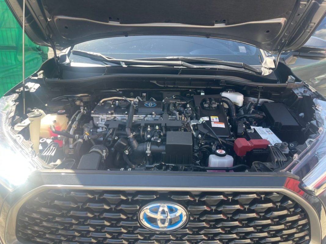 WhatsApp Image 2025-12-29 at 11.46.45 AM (3)