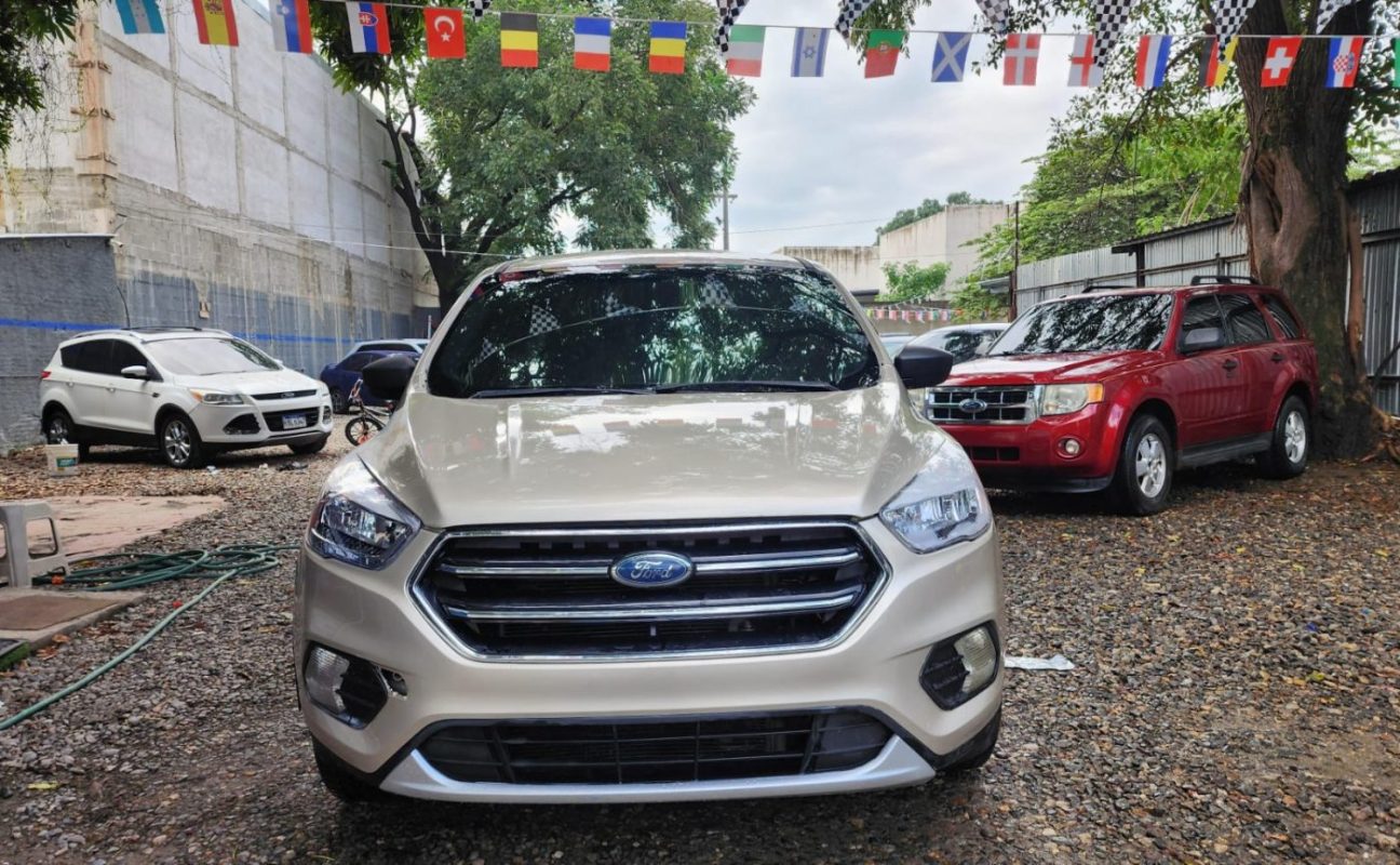 WhatsApp Image 2025-12-29 at 11.53.48 AM