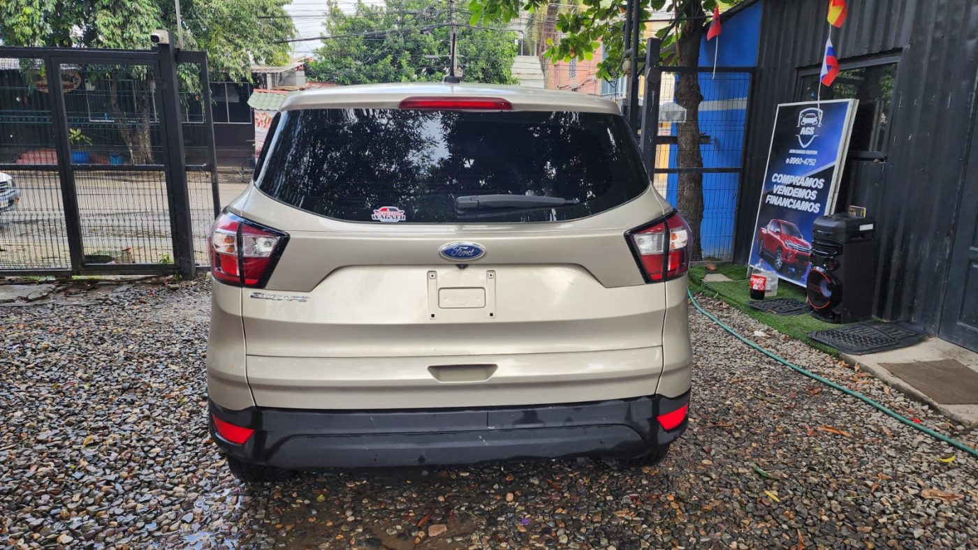 WhatsApp Image 2025-12-29 at 11.53.49 AM (2)