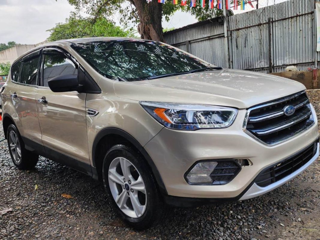 WhatsApp Image 2025-12-29 at 11.53.51 AM