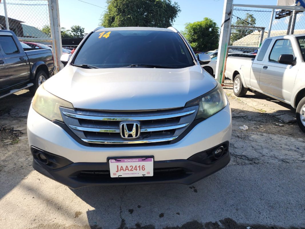 WhatsApp Image 2025-12-29 at 9.30.30 AM