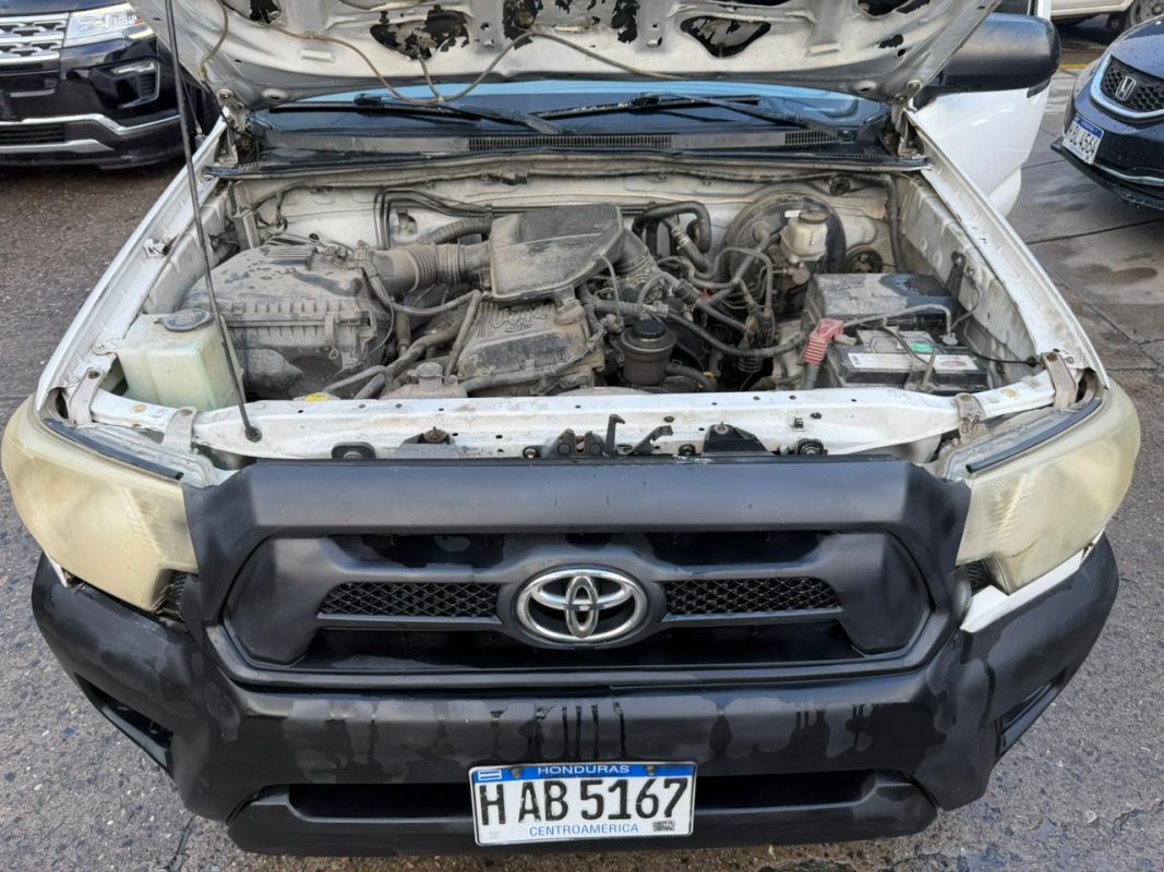 WhatsApp Image 2025-12-29 at 9.40.28 AM (3)