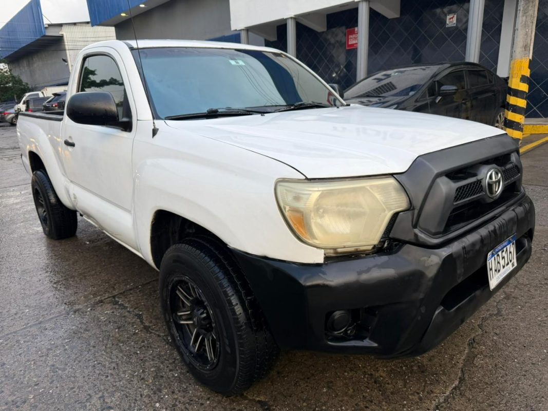 WhatsApp Image 2025-12-29 at 9.40.28 AM