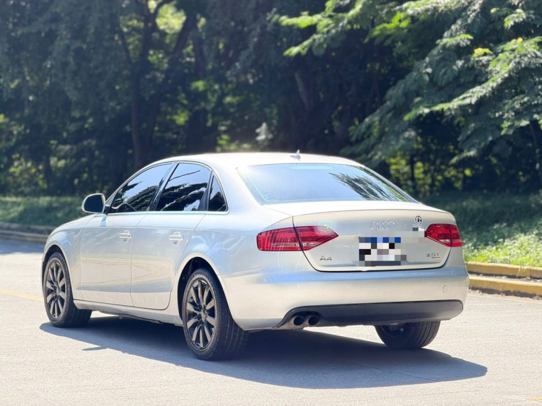 WhatsApp Image 2026-02-17 at 10.20.11 AM