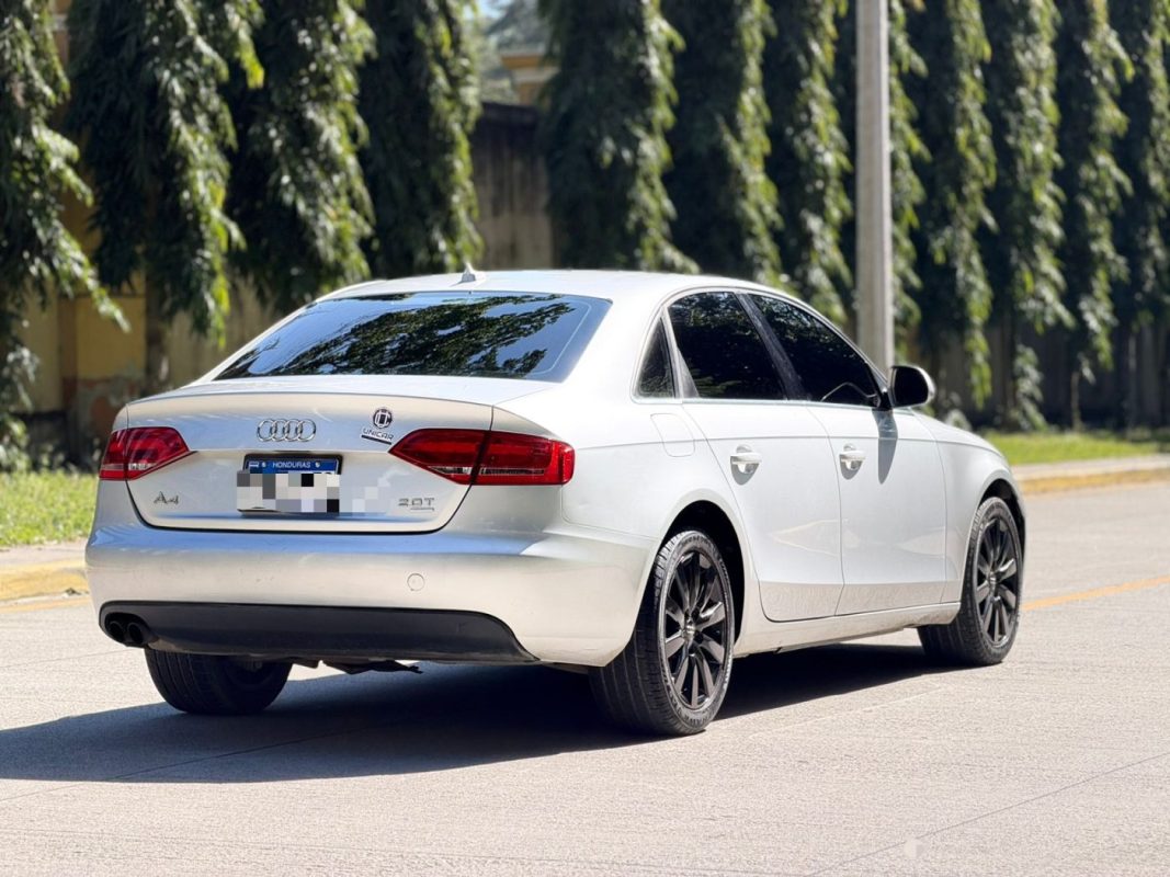 WhatsApp Image 2026-02-17 at 10.20.15 AM (1)