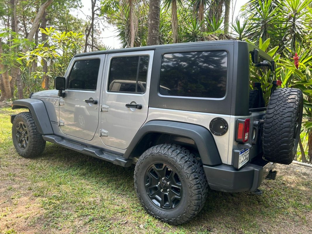 ffa710ac-6a79-4b61-8807-bac20c6dced1