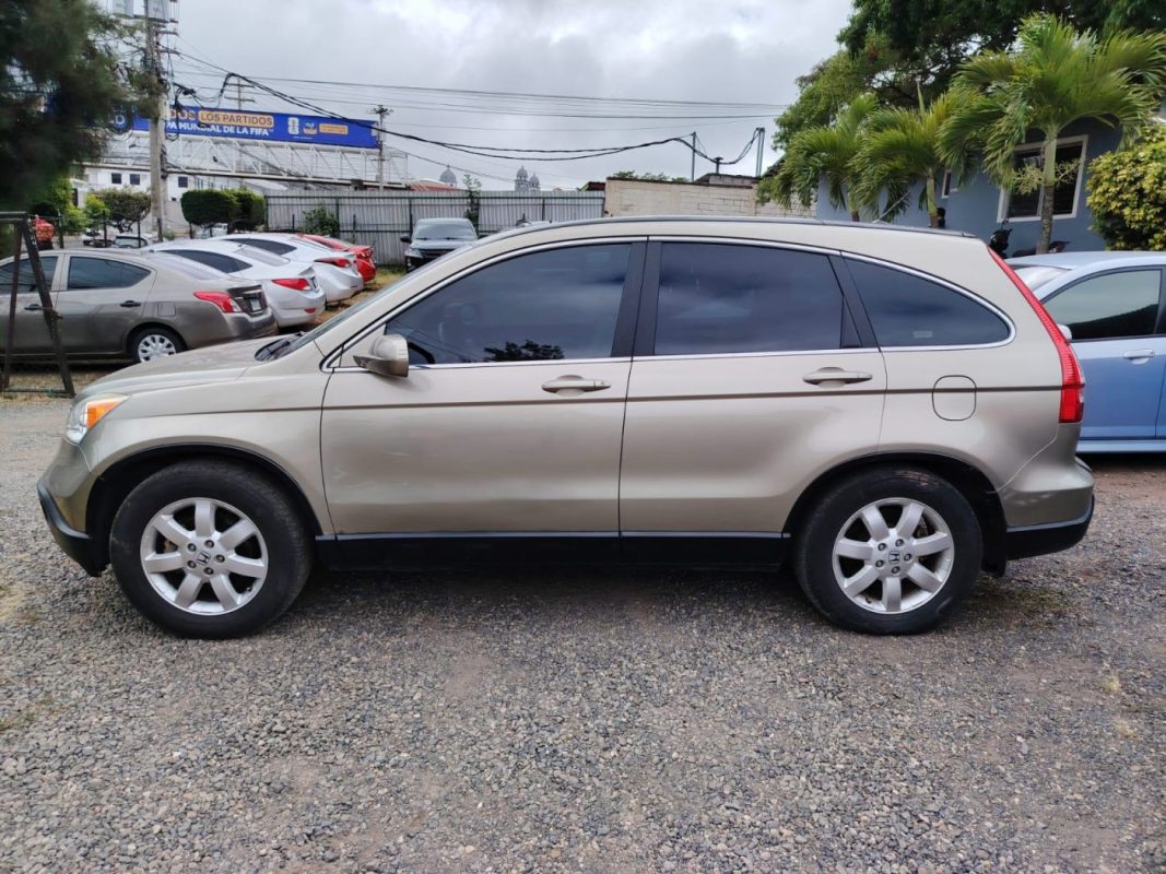 50c7c5be-d218-48fe-9dcb-c664150a8fa0