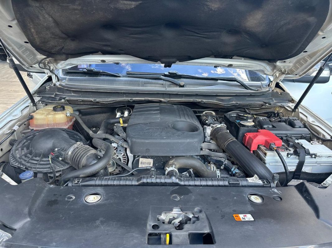 52935d16-c6ba-4144-95a4-37a2625576ba