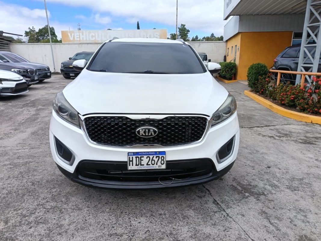 5e0533f2-96dd-44c5-8d19-1b2e22c0bf3f