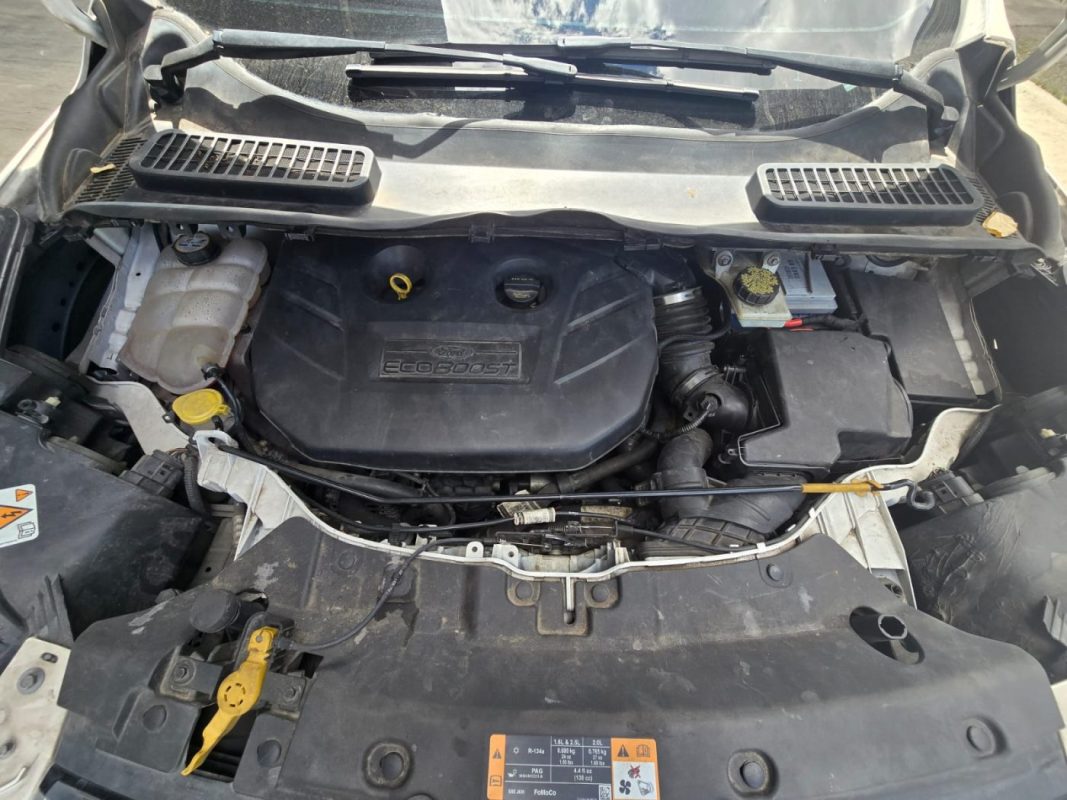 651fe018-ebf7-42a0-9448-3bcc141dcb94