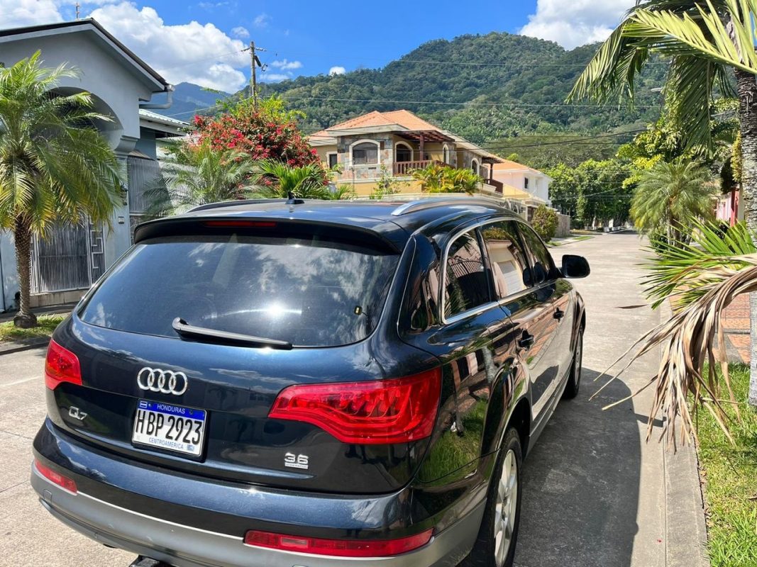 703e208d-7878-49ff-9550-5084f7777460