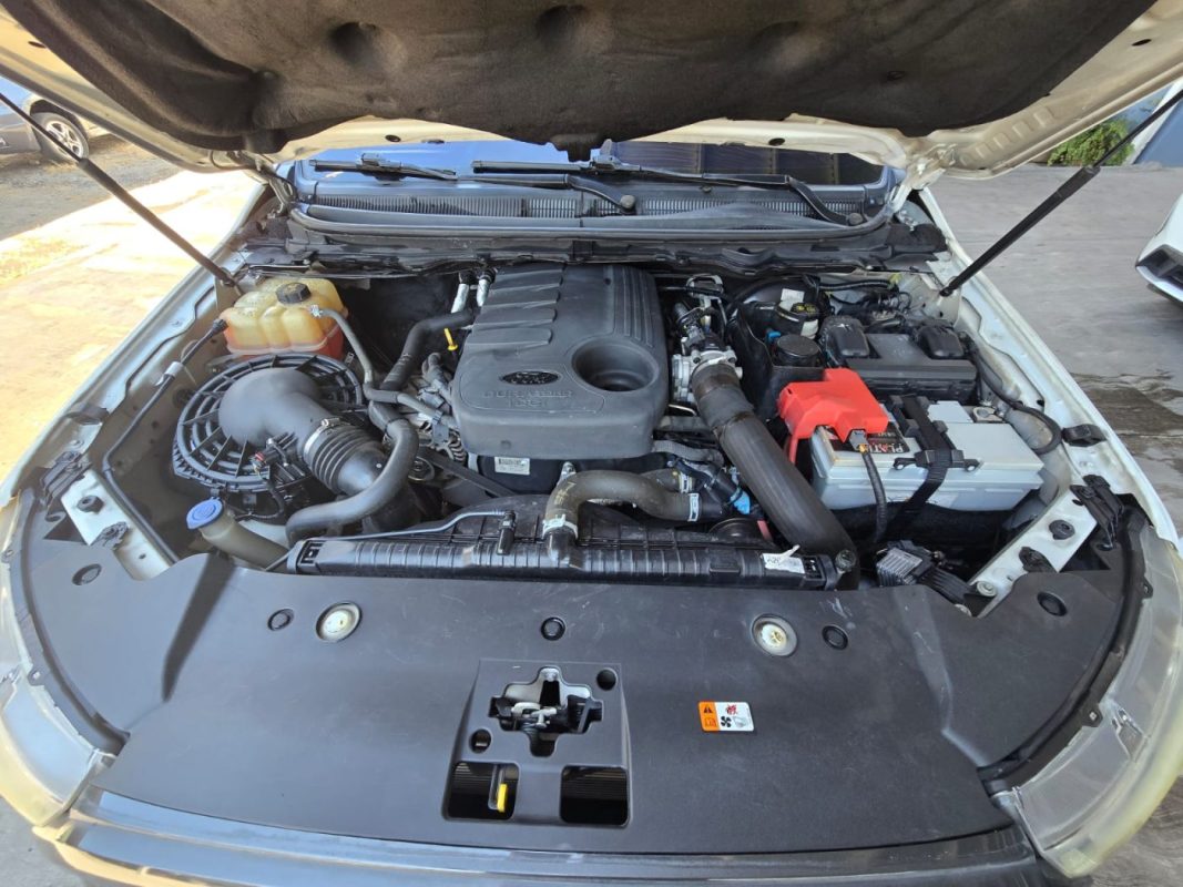 8f419512-066f-46f9-9d20-ee06e7c654fa