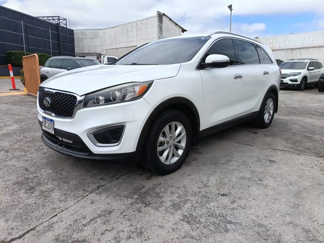 98239226-3f86-4eb6-96f2-5f1f87231f82