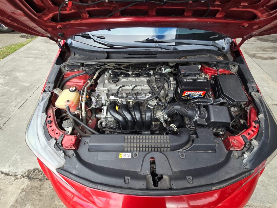 9c3a0884-ddf3-404b-afcb-6f1771b50369