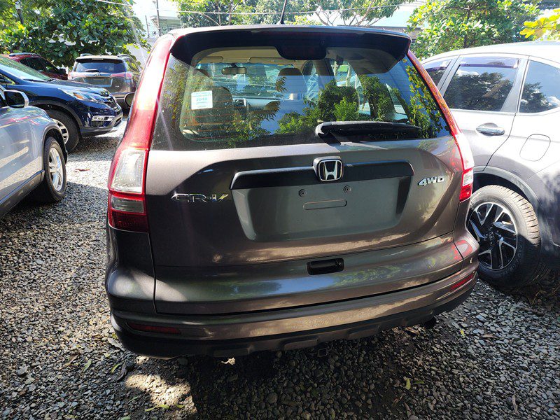 FJIMG_20260124_135310