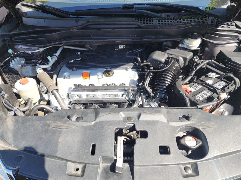 FJIMG_20260124_135349