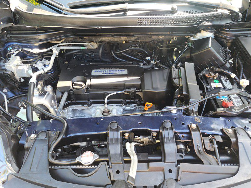 FJIMG_20260124_135517