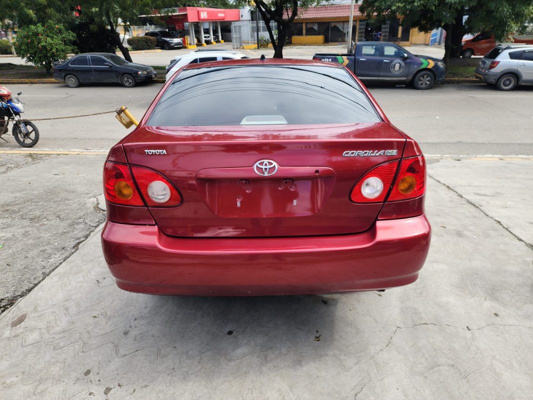 FJIMG_20260130_100221